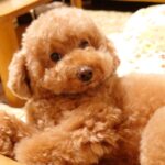 notty117のアバター