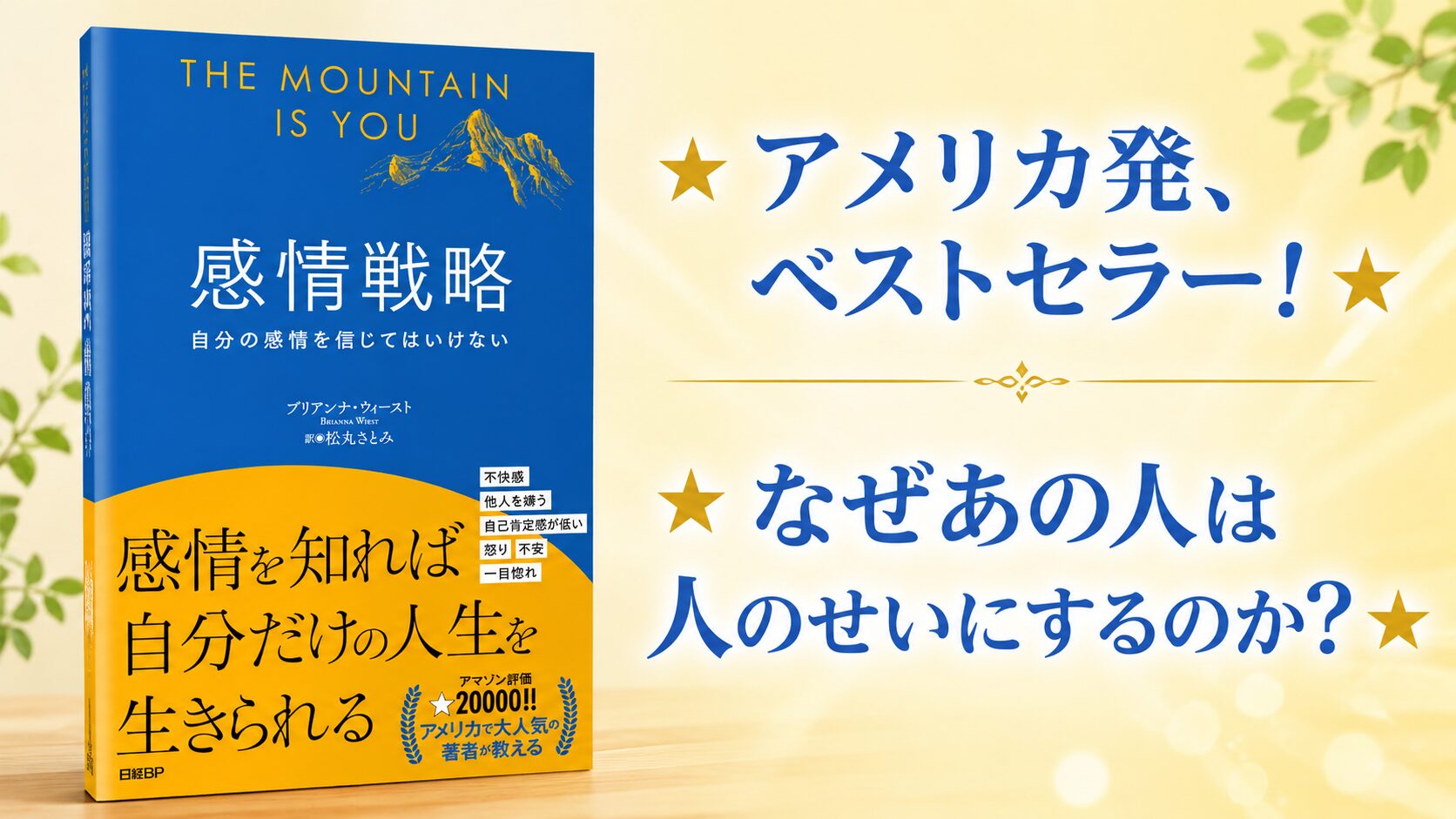 感情戦略